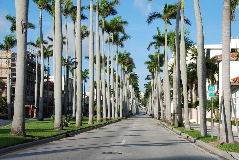 Is Car Insurance Required in Florida?
