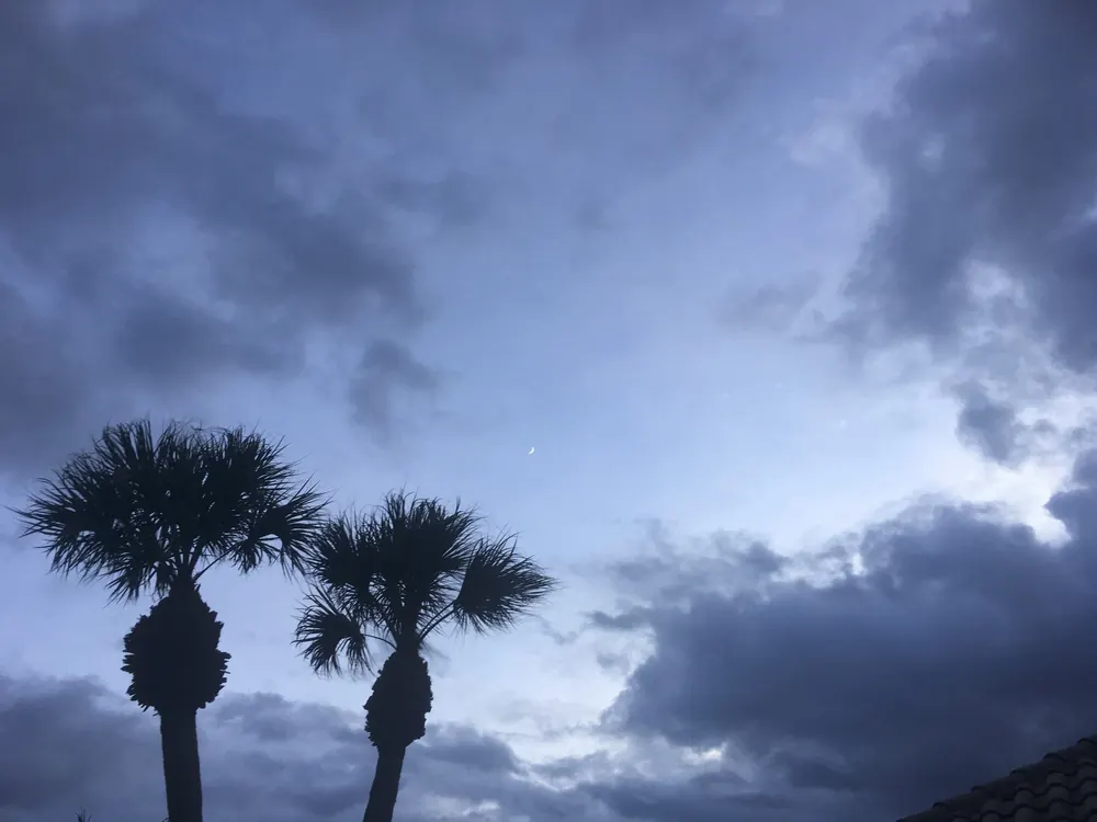 Is Homeowners Insurance Mandatory in Florida?