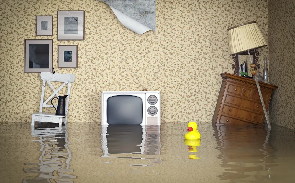Three Reasons to Get Flood Insurance if You Live in Florida